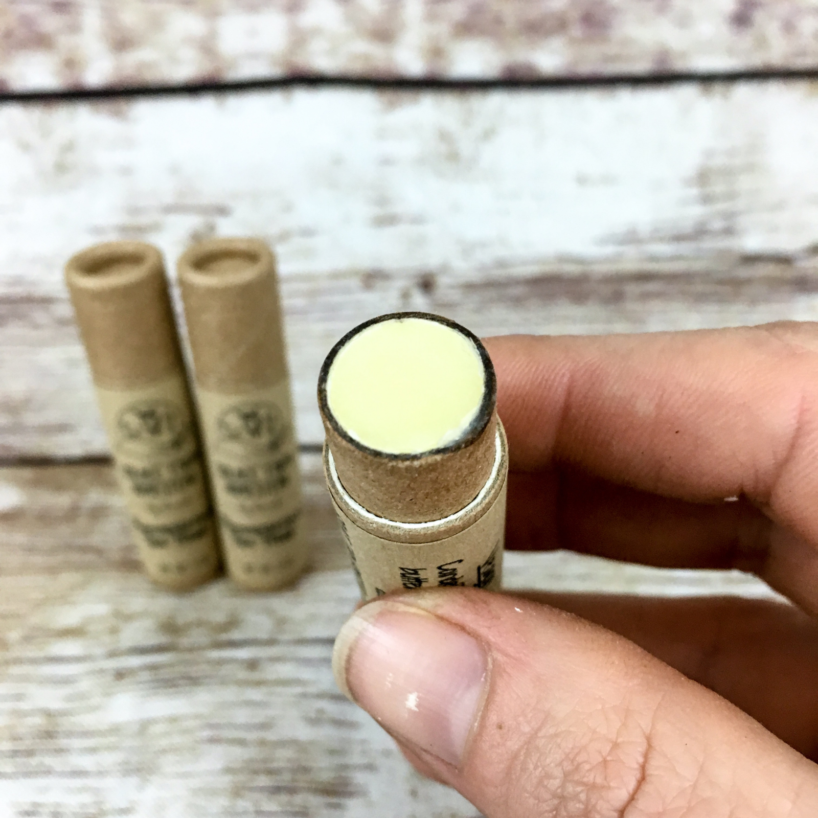 Vegan Lip Balm Sweet Mint by Eco Lips flavor 3 Pack Natural Bee Free with Candelilla  Wax Organic Cocoa Butter & Coconut Oil Lip Care. 100% Plastic-Free Plant  Pod Packaging - Made