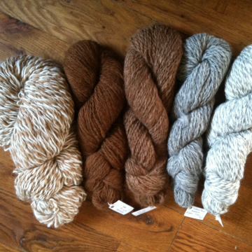 Fiber - Fleece and Yarn