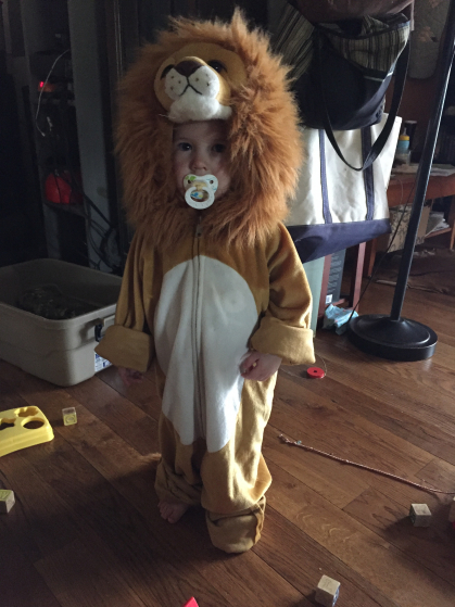 Ewan the Lion