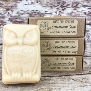 Handcrafted Goat Milk Soap, Cedarwood & Sage Owl Soap, Handmade Men's Soap for Gifts, Soap for Kids