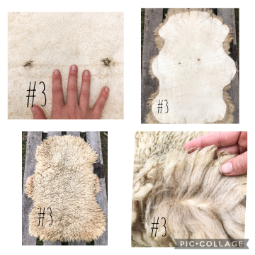 Sheepskin rug