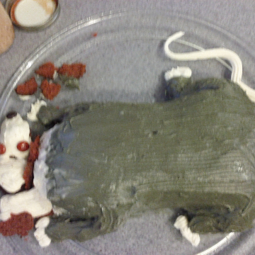 Throw-back Picture of my "Roadkill Possum" Cake for our Morbid cake Society, circa 2013